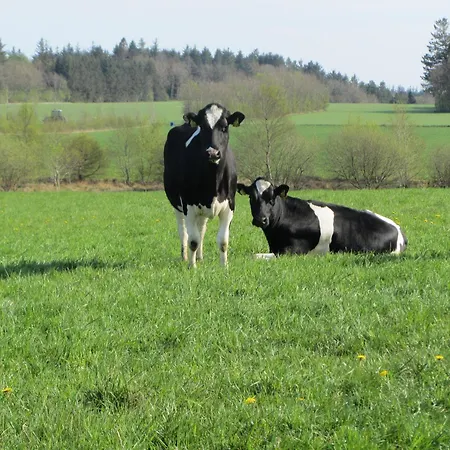 Vestervang Bed and Breakfast 3*