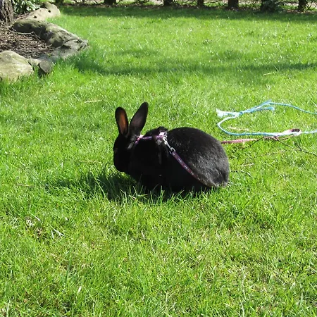 Vestervang Vildbjerg